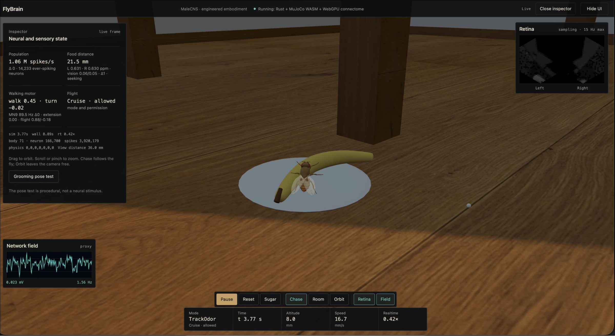 A simulated fly beside food on a wooden surface, with neural activity and sensory panels.